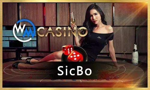 Top Online Bingo Games